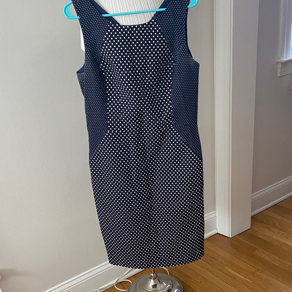Banana Republic Navy and White Polka Dot Midi Dress